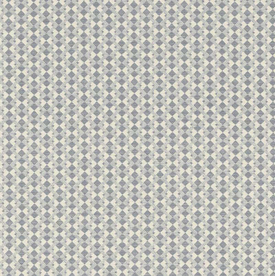 SCHUMACHER FABRICS -69870-HUXLEY