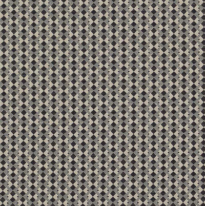 SCHUMACHER FABRICS -69871-HUXLEY
