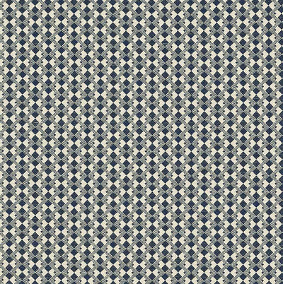SCHUMACHER FABRICS -69873-HUXLEY