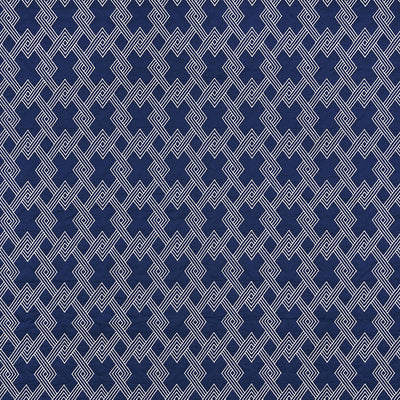 SCHUMACHER FABRICS -70142-HIX