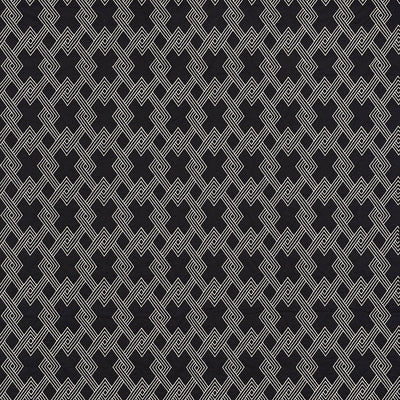 SCHUMACHER FABRICS -70145-HIX