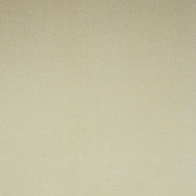 SCHUMACHER FABRICS -70578-ROCKY PERFORMANCE VELVET