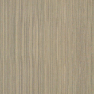 SCHUMACHER FABRICS -71003-POETTO STRIE