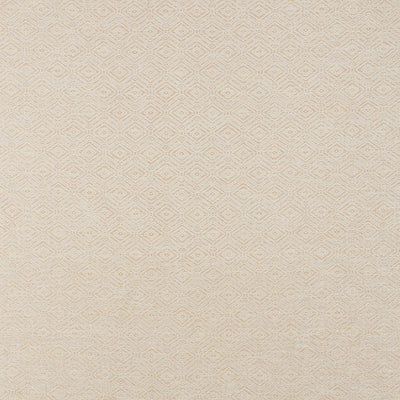 SCHUMACHER FABRICS -71131-ANDERSON