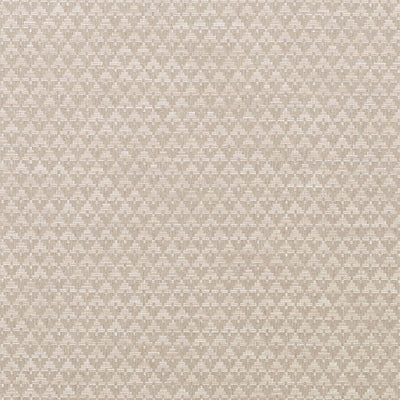 SCHUMACHER FABRICS -71180-EVANS