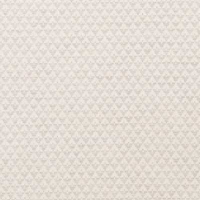 SCHUMACHER FABRICS -71181-EVANS
