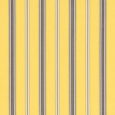 SCHUMACHER FABRICS -71294-COCO STRIPE