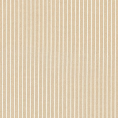 SCHUMACHER FABRICS -71301-EDIE STRIPE