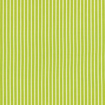 SCHUMACHER FABRICS -71306-EDIE STRIPE