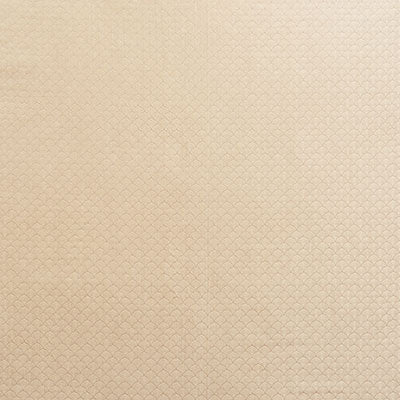 SCHUMACHER FABRICS -71621-ASHTON