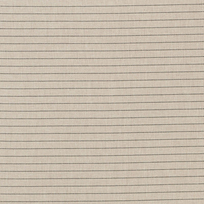 SCHUMACHER FABRICS -71810-MANNING STRIPE