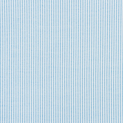 SCHUMACHER FABRICS -73150-EASTON STRIPE