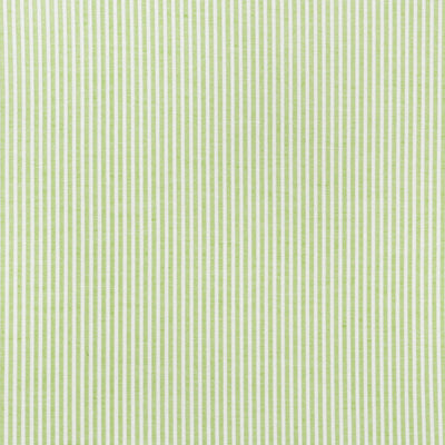 SCHUMACHER FABRICS -73151-EASTON STRIPE