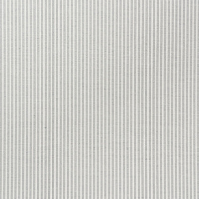 SCHUMACHER FABRICS -73152-EASTON STRIPE