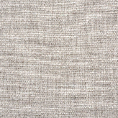 SCHUMACHER FABRICS -75100-MAX WOVEN