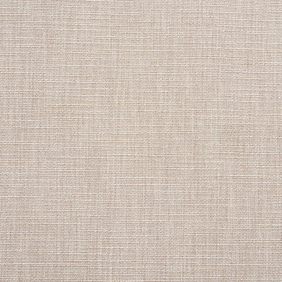 SCHUMACHER FABRICS -75101-MAX WOVEN