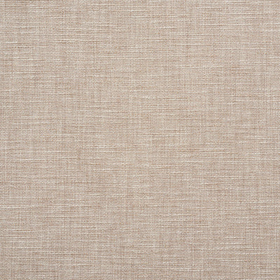 SCHUMACHER FABRICS -75102-MAX WOVEN