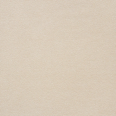 SCHUMACHER FABRICS -75200-STINGRAY