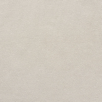 SCHUMACHER FABRICS -75201-STINGRAY
