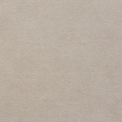 SCHUMACHER FABRICS -75202-STINGRAY