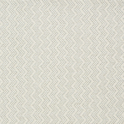 SCHUMACHER FABRICS -75493-AUDLEY