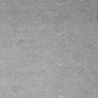 SCHUMACHER FABRICS -75613-MENEMSHA