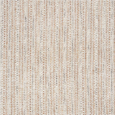 SCHUMACHER FABRICS -75640-PIEDMONT CHENILLE