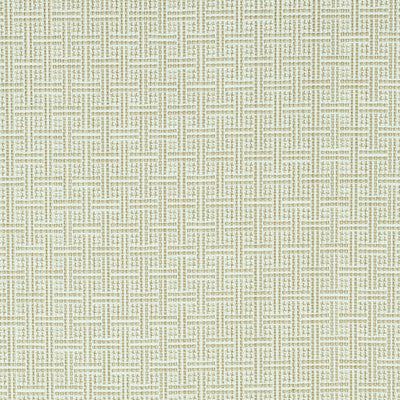 SCHUMACHER FABRICS -75937-BRICKELL