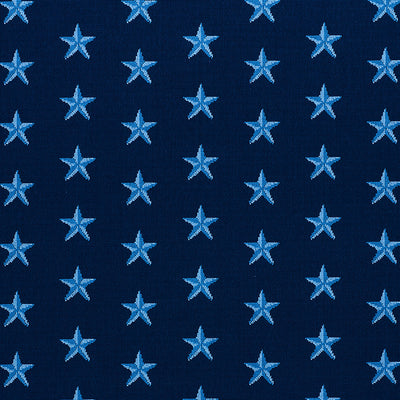 SCHUMACHER FABRICS -77421-STAR EPINGLE