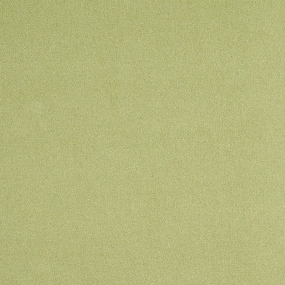 SCHUMACHER FABRICS-77810 - ALBERT PERFORMANCE COTTON