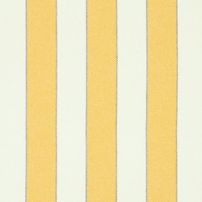 SCHUMACHER FABRICS -79052-BLUMONT STRIPE INDOOR/OUTDOOR