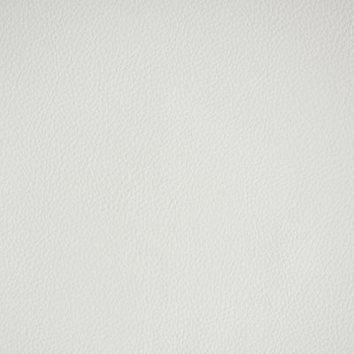 SCHUMACHER FABRICS -79551-INDOOR/OUTDOOR VEGAN LEATHER