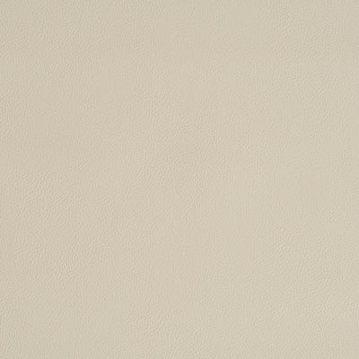 SCHUMACHER FABRICS -79552-INDOOR/OUTDOOR VEGAN LEATHER