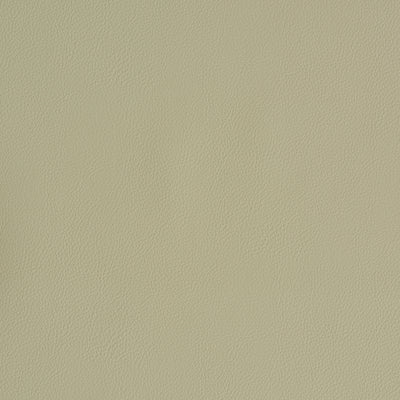 SCHUMACHER FABRICS -79553-INDOOR/OUTDOOR VEGAN LEATHER