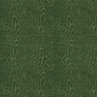 BRUNSCHWIG & FILS - COROMANDEL - FOREST