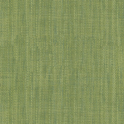 BRUNSCHWIG & FILS - PALAR TEXTURE - LEAF