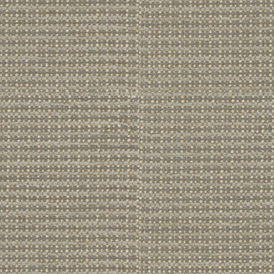 BRUNSCHWIG & FILS - TEPEY CHENILLE - CHINCHILLA