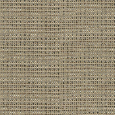 BRUNSCHWIG & FILS - TEPEY CHENILLE - SANDSTONE