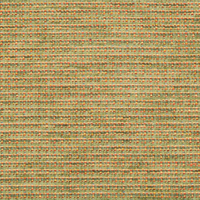 BRUNSCHWIG & FILS - TEPEY CHENILLE - FERN