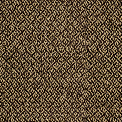 BRUNSCHWIG & FILS - COTTIAN CHENILLE - EBONY
