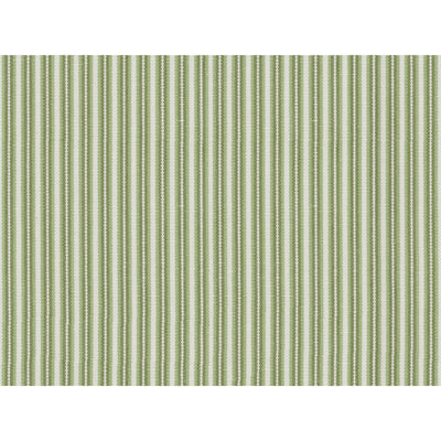 BRUNSCHWIG & FILS - CHAMAS STRIPE - LEAF
