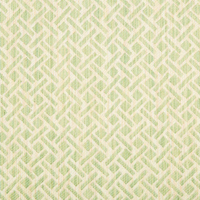 BRUNSCHWIG & FILS - COMTE STRIE - CELERY