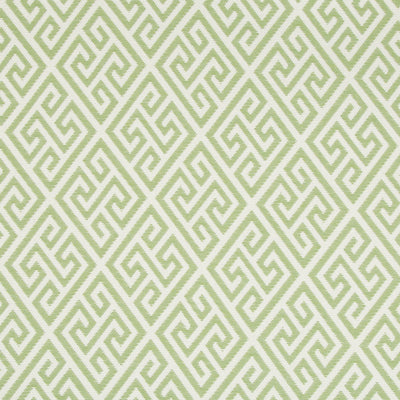 BRUNSCHWIG & FILS - CAP MARTIN WOVEN - KIWI