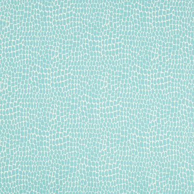 BRUNSCHWIG & FILS - NILE PRINT - AQUA