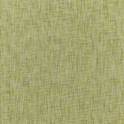 BRUNSCHWIG & FILS - TEMAE TEXTURE - LEAF