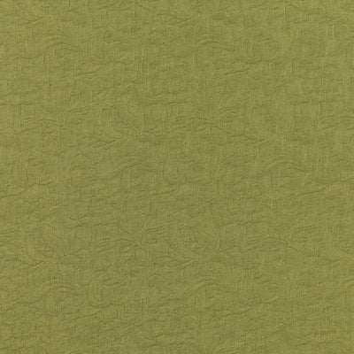 BRUNSCHWIG & FILS - GAMBETTA WEAVE - VERD