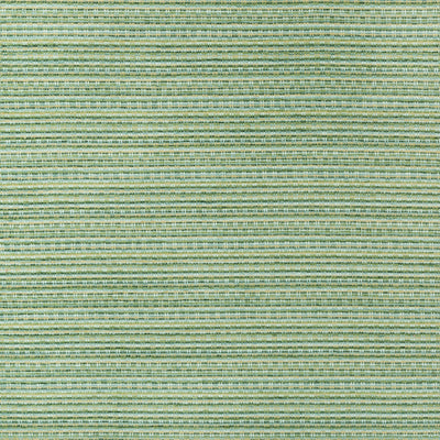 BRUNSCHWIG & FILS - ORELLE TEXTURE - FOREST