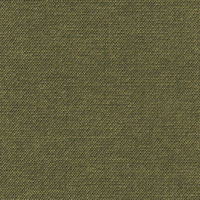 ALDECO FABRICS-A9 00366850-SLOW-PISTACHO
