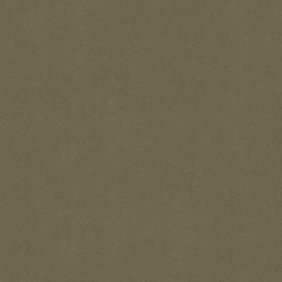 Sensuede British Tan Suede Fabric