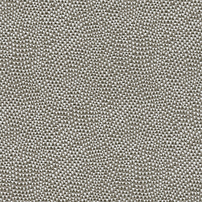 ALHAMBRA FABRICS-B8 0000AMWD-AMARE WIDE-DOVE GREY